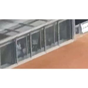 Maria Makino Instagram - ♡
♡
❤️⚾️LIVE DAYS！～心躍る大交流戦～⚾️❤️
北海道日本ハムファイターズVS.横浜DeNAベイスターズ
2024.6.2🐻ES CON FIELD HOKKAIDO

🐻🐻🐿🦊

❤️小村勝球団社長❤️
「まりあちゃん！！！ナイスピッチ❣️❣️」by小村勝球団社長
まりあ両手振って球団社長のところへ走っていきました⚾️始球式後
小村勝球団社長も手振ってくれて、両手でハイタッチしてくださいました💕※小村勝球団社長とはじめてのハイタッチ❣️やば！
すごく嬉しかったです💖💖💖
　つづく

始球式後、取材していただきました。ありがとうございました💖

＆

⚾️試合観戦⚾️

ごーくんの打席から見れました💗💗💗💗💗💗💗※迷子になり、到着遅れた。石田さん＆小田さん＆のなちゃんが「まりあちゃん！！！ごーくんだよ！！！急いで！！」って、まりあの席を用意してくれてました。
ごーくんヒット💗💗💗💗💗💗💗「まりあのごーくんかっこいい💖💖💖きゃーー❣️❣️」byまりあ。わたしたち大盛り上がり✨✨✨

2表終わって、きつねダンス🦊
「かわいいーー💕💕うちの娘。いちばんかわいい💖」by親バカまりあ

🎶ジンギスカン🎶
「石田さん！小田さん！ジンギスカンです❣️❣️」
立ち上がったサブリーダーズ。🐑🐑🐑
　つづく

3裏
ごーくん💗💗💗💗💗💗💗。バント❣️❣️かっこいいごーくん💗💗💗💗💗💗💗
「お！ごーくんバント上手👏」byマネージャーさんと石田さん。「でしょ🐰。ごーくんなんでもできるの🐰まりあのごーくん」byまりあ
郡司裕也選手について説明したまりあ「ぐんぐんぐんじ選手」
･･･などなど。まじまりあうるさい🐰。メンバーとうちの試合観れるの嬉しくて、喋りすぎやけんし🐰🧡🧡
ゆあくんHR👑👑👑まじありがとうゆあくん❣️❣️「まりあの同級生！あ！同い年のゆあくんすごいじゃん❣️❣️」by石田さん😆

オースティンがネクストバッターズサークルにいて、わたしとオースティンの距離1mくらい🐰。
「Judge好きになったきっかけのオースティン選手です！」byまりあ「ヤンキースにいたってこと！？」by石田さん💙

「水谷選手めっちゃ飛んでる！！おー！」by小田さくらさん→水谷選手2ラン👑👑

🎵POP!←踊った石田さん💙小田さん🌸よこ💛きた🩵まりあ🐰はるさんニコニコ見てくれてありがとう💕
🎵わっちゅごーな←石田さん初見で完璧に踊ってた🎶＆まりあも踊ったよ🐰。ひちょりコーチGoodってしてくれました💚。「あ！！！マダム映った！」
🎵YMCA←石田さん＆小田さん＆まりあ踊りました💕。「めい踊ったことある！」byめいちゃん🐼。
🎵ファイターズ讃歌←石田さん＆小田さん完璧に踊る💕。まりあゴールドグローブ持って踊った自作ダンス。ほまれとめいちゃんはお行儀よく座って観戦⚾️
🎵じぇーくんの登場曲←小田さん＆よこ、完璧に踊ってた🎶
「ライブ前に疲れちゃったら大変だよ！！」byサブリーダー石田さん💙
🎵チキバン覚えたメンバーだーれだ？？
 
「わたしたち、試合も観れてこのあとライブするんだよ✨すごいね」byサブリーダー石田さん💙。まりあは大きく頷いた🐰。

試合観てたメンバーはライブ準備へ行きました🎤
まりあは、ダッシュで着替えダッシュで戻ってきました←ひちょりコーチ気づいたっぽい「おぉー！」って拍手してた👏💚。
石田さんは、勝った瞬間戻ってきてくれました。1本締めいっしょにしました。つーたんの背中見えたから、まりあも頭の上でぽん👏。
エンディング、がんちゃんグローブから始まった💖ありがとうございます✨✨✨

福島蓮投手👑初勝利おめでとう✨✨
水谷瞬選手👑プロ初ホームランおめでとう✨✨
ヒーローインタビューも近くで見れて感激🐰🎤💕
目の前通る時、フレップが手振ってくれた🦊

センターのごーくん鬼ちっちゃかったけど、打席のごーくん表情見えるくらい近い💗💗💗💗💗💗💗
ベンチにいるつーたん❤️ずーっと見えた💎。「SHINJOが上着脱ぎました！今」まりあ実況🐰

ライブ前に試合観戦できて、まりあとっても嬉しかったです💖
本当にありがとうございました❤️❤️❤️
♡
♡

【撮影協力】
ママ友📸4枚目動画
小田さくらさん📸“ごーくんコーン茶のファイル”持ってごーくん応援してるまりあ※＆石田さんがごーくんのスクリーン撮ってくれてました

#LOVE新庄 ❤️
#lovefighters 🐻🐻🐿🦊 #北海道日本ハムファイターズ 💖
#GAORA ⚾️
#モーニング娘24  #牧野真莉愛