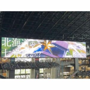 Maria Makino Instagram - ♡
♡
⚾️日本生命セ･パ交流戦2024⚾️
北海道日本ハムファイターズVS.横浜DeNAベイスターズ
2024.5.31🐻ES CON FIELD HOKKAIDO
🐻🐻🐿🦊
うちの試合行きました💖応援❣️❣️❣️
LOVE❤️新庄
つづく🐰“まりブロ”みてね
♡
♡

#LOVE新庄 ❤️
#lovefighters 🐻🐻🐿🦊 #北海道日本ハムファイターズ 💖
#モーニング娘24 #牧野真莉愛