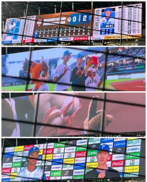 Maria Makino Instagram - ♡
♡
❤️⚾️LIVE DAYS！～心躍る大交流戦～⚾️❤️
北海道日本ハムファイターズVS.横浜DeNAベイスターズ
2024.6.2🐻ES CON FIELD HOKKAIDO

🐻🐻🐿🦊

❤️小村勝球団社長❤️
「まりあちゃん！！！ナイスピッチ❣️❣️」by小村勝球団社長
まりあ両手振って球団社長のところへ走っていきました⚾️始球式後
小村勝球団社長も手振ってくれて、両手でハイタッチしてくださいました💕※小村勝球団社長とはじめてのハイタッチ❣️やば！
すごく嬉しかったです💖💖💖
　つづく

始球式後、取材していただきました。ありがとうございました💖

＆

⚾️試合観戦⚾️

ごーくんの打席から見れました💗💗💗💗💗💗💗※迷子になり、到着遅れた。石田さん＆小田さん＆のなちゃんが「まりあちゃん！！！ごーくんだよ！！！急いで！！」って、まりあの席を用意してくれてました。
ごーくんヒット💗💗💗💗💗💗💗「まりあのごーくんかっこいい💖💖💖きゃーー❣️❣️」byまりあ。わたしたち大盛り上がり✨✨✨

2表終わって、きつねダンス🦊
「かわいいーー💕💕うちの娘。いちばんかわいい💖」by親バカまりあ

🎶ジンギスカン🎶
「石田さん！小田さん！ジンギスカンです❣️❣️」
立ち上がったサブリーダーズ。🐑🐑🐑
　つづく

3裏
ごーくん💗💗💗💗💗💗💗。バント❣️❣️かっこいいごーくん💗💗💗💗💗💗💗
「お！ごーくんバント上手👏」byマネージャーさんと石田さん。「でしょ🐰。ごーくんなんでもできるの🐰まりあのごーくん」byまりあ
郡司裕也選手について説明したまりあ「ぐんぐんぐんじ選手」
･･･などなど。まじまりあうるさい🐰。メンバーとうちの試合観れるの嬉しくて、喋りすぎやけんし🐰🧡🧡
ゆあくんHR👑👑👑まじありがとうゆあくん❣️❣️「まりあの同級生！あ！同い年のゆあくんすごいじゃん❣️❣️」by石田さん😆

オースティンがネクストバッターズサークルにいて、わたしとオースティンの距離1mくらい🐰。
「Judge好きになったきっかけのオースティン選手です！」byまりあ「ヤンキースにいたってこと！？」by石田さん💙

「水谷選手めっちゃ飛んでる！！おー！」by小田さくらさん→水谷選手2ラン👑👑

🎵POP!←踊った石田さん💙小田さん🌸よこ💛きた🩵まりあ🐰はるさんニコニコ見てくれてありがとう💕
🎵わっちゅごーな←石田さん初見で完璧に踊ってた🎶＆まりあも踊ったよ🐰。ひちょりコーチGoodってしてくれました💚。「あ！！！マダム映った！」
🎵YMCA←石田さん＆小田さん＆まりあ踊りました💕。「めい踊ったことある！」byめいちゃん🐼。
🎵ファイターズ讃歌←石田さん＆小田さん完璧に踊る💕。まりあゴールドグローブ持って踊った自作ダンス。ほまれとめいちゃんはお行儀よく座って観戦⚾️
🎵じぇーくんの登場曲←小田さん＆よこ、完璧に踊ってた🎶
「ライブ前に疲れちゃったら大変だよ！！」byサブリーダー石田さん💙
🎵チキバン覚えたメンバーだーれだ？？
 
「わたしたち、試合も観れてこのあとライブするんだよ✨すごいね」byサブリーダー石田さん💙。まりあは大きく頷いた🐰。

試合観てたメンバーはライブ準備へ行きました🎤
まりあは、ダッシュで着替えダッシュで戻ってきました←ひちょりコーチ気づいたっぽい「おぉー！」って拍手してた👏💚。
石田さんは、勝った瞬間戻ってきてくれました。1本締めいっしょにしました。つーたんの背中見えたから、まりあも頭の上でぽん👏。
エンディング、がんちゃんグローブから始まった💖ありがとうございます✨✨✨

福島蓮投手👑初勝利おめでとう✨✨
水谷瞬選手👑プロ初ホームランおめでとう✨✨
ヒーローインタビューも近くで見れて感激🐰🎤💕
目の前通る時、フレップが手振ってくれた🦊

センターのごーくん鬼ちっちゃかったけど、打席のごーくん表情見えるくらい近い💗💗💗💗💗💗💗
ベンチにいるつーたん❤️ずーっと見えた💎。「SHINJOが上着脱ぎました！今」まりあ実況🐰

ライブ前に試合観戦できて、まりあとっても嬉しかったです💖
本当にありがとうございました❤️❤️❤️
♡
♡

【撮影協力】
ママ友📸4枚目動画
小田さくらさん📸“ごーくんコーン茶のファイル”持ってごーくん応援してるまりあ※＆石田さんがごーくんのスクリーン撮ってくれてました

#LOVE新庄 ❤️
#lovefighters 🐻🐻🐿🦊 #北海道日本ハムファイターズ 💖
#GAORA ⚾️
#モーニング娘24  #牧野真莉愛