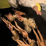 Maria Stavang Instagram - Jeg gjør meg også klar for premieren til Barbie.