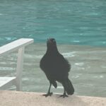 Maria Stavang Instagram – Her er 10 bilder Magnus har tatt av meg på feire i Mexico.