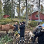 Maria Veitola Instagram - Tällä viikolla yökyläilen näyttelijä Outi Mäenpään ja kirjailija Juha Ruusuvuoren luona Taalintehtaalla. Kertakaikkisen söpöllä farmilla mua odotti aikamoinen eläinten pataljoona ja olo oli suorastaan kuin sadussa. Taitelijapariskunta on pitänyt yhtä kolmen vuoden ajan, vaikka musta kyllä tuntui että he olisivat olleet yhdessä vuosikymmeniä. ❤️ Mua kiinnosti kuulla millaista on rakastua sellaisessa vaiheessa elämää, että paketissa onkin mukana hevosia ja aikuisia lapsia. Sekä siis vaikka mitä elettyä elämää. Juha ja Outi sanoittivatkin parisuhdettaan, elämäänsä, rakastumistaan, seikkailuja ja tunteitaan kiinnostavasti. Ehdimme käydä läpi aihepiirejä teatterikoulusta äitiyteen ja hippihommiin. Nostin voimakortin, joka kuvasti aikalailla täydellisesti tätä yökyläilyä! Oli myös ihanaa kierrellä kauniissa Kemiönsaaressa ja hengailla sekä nuoren parin, että hevosten kanssa ja etenkin katsoa Juhan digitoimaa Noriko Showta. 😃 Mitä mieltä te olitte jaksosta ja sen keskusteluista? Oletteko jo tehneet tuttavuutta sisäisen lapsenne kanssa? Oli ihanaa miten kosketuksissa Outi oli omaan sisäiseen lapseensa ja kiltin tytön syndroomaan. Sitä se ehkä vaatii, että voi olla voimakas ja karismaattinen nainen tässä ajassa. Meidän meininkiä voit seurata tänään Maikkarilta kello 21. Ekstrapitkän jakson näet MTV Katsomosta vaikka heti. MTV Katsomo -tilaajana pääset kurkkimaan jo ensi viikon jaksoa, jolloin matkustan Joel Pohjanpalon luokse Venetsiaan. #yökylässä #yökylässäMariaVeitola ☀️ 3. kuva @idakentala