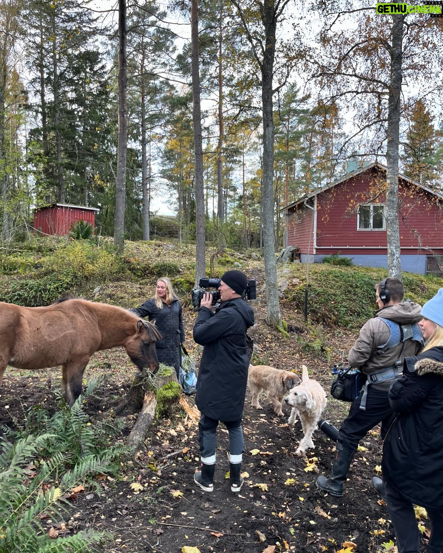 Maria Veitola Instagram - Tällä viikolla yökyläilen näyttelijä Outi Mäenpään ja kirjailija Juha Ruusuvuoren luona Taalintehtaalla. Kertakaikkisen söpöllä farmilla mua odotti aikamoinen eläinten pataljoona ja olo oli suorastaan kuin sadussa. Taitelijapariskunta on pitänyt yhtä kolmen vuoden ajan, vaikka musta kyllä tuntui että he olisivat olleet yhdessä vuosikymmeniä. ❤️ Mua kiinnosti kuulla millaista on rakastua sellaisessa vaiheessa elämää, että paketissa onkin mukana hevosia ja aikuisia lapsia. Sekä siis vaikka mitä elettyä elämää. Juha ja Outi sanoittivatkin parisuhdettaan, elämäänsä, rakastumistaan, seikkailuja ja tunteitaan kiinnostavasti. Ehdimme käydä läpi aihepiirejä teatterikoulusta äitiyteen ja hippihommiin. Nostin voimakortin, joka kuvasti aikalailla täydellisesti tätä yökyläilyä! Oli myös ihanaa kierrellä kauniissa Kemiönsaaressa ja hengailla sekä nuoren parin, että hevosten kanssa ja etenkin katsoa Juhan digitoimaa Noriko Showta. 😃 Mitä mieltä te olitte jaksosta ja sen keskusteluista? Oletteko jo tehneet tuttavuutta sisäisen lapsenne kanssa? Oli ihanaa miten kosketuksissa Outi oli omaan sisäiseen lapseensa ja kiltin tytön syndroomaan. Sitä se ehkä vaatii, että voi olla voimakas ja karismaattinen nainen tässä ajassa. Meidän meininkiä voit seurata tänään Maikkarilta kello 21. Ekstrapitkän jakson näet MTV Katsomosta vaikka heti. MTV Katsomo -tilaajana pääset kurkkimaan jo ensi viikon jaksoa, jolloin matkustan Joel Pohjanpalon luokse Venetsiaan. #yökylässä #yökylässäMariaVeitola ☀️ 3. kuva @idakentala