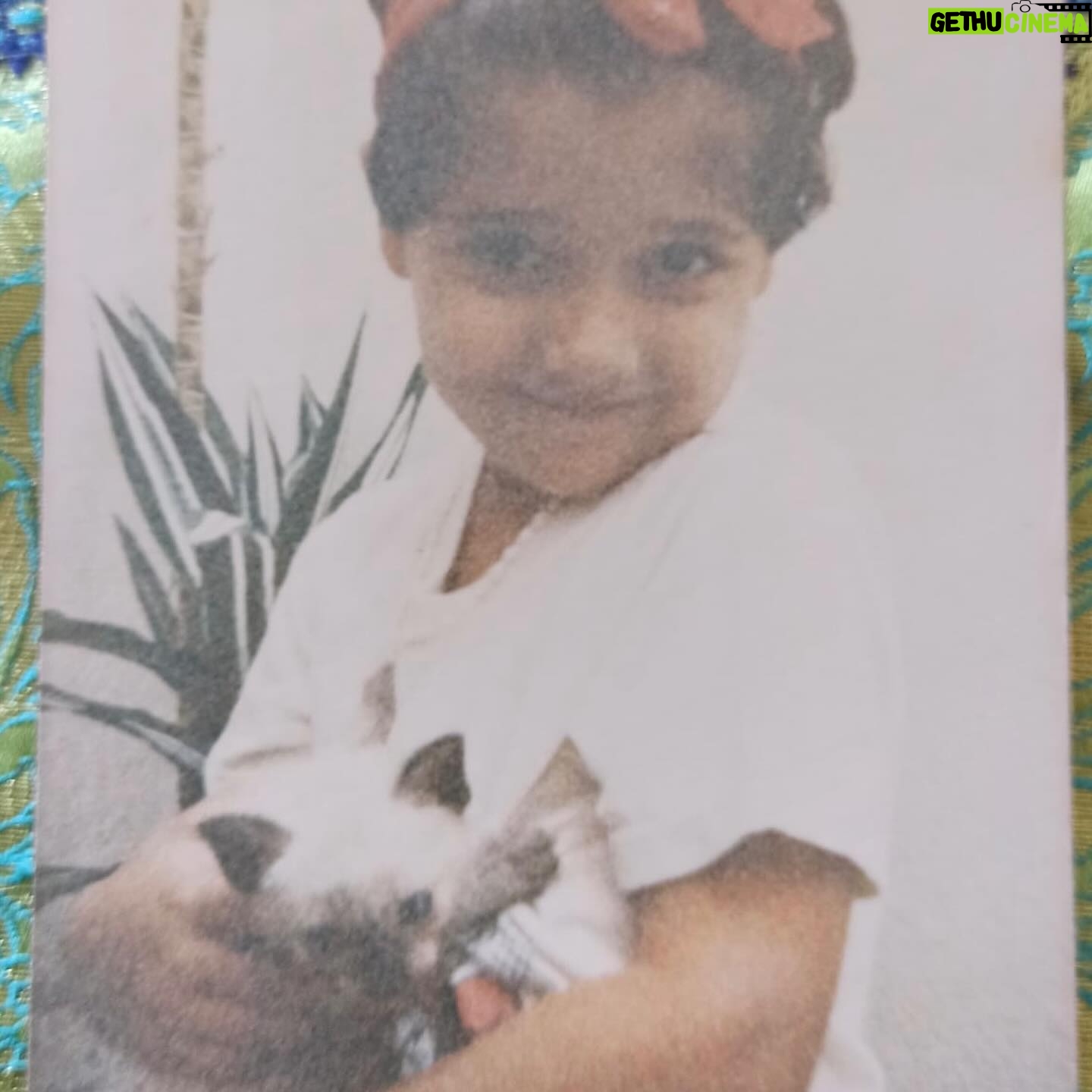Mariam Hernández Instagram - Hace unos días cumplí 43 años… 43. Lo repito porque siempre me ha costado decir mi edad por aquí. El miedo al paso de los años, a que no me llamen tanto en mi trabajo por ser mayor , a no gustar (a los demás, o mejor dicho, “a ellos” ) … pues sí tengo 43 y aunque da vértigo , en todos los sentidos, me siento bien , probablemente mejor que antes. Me siento más valiente y más serena (y esto último ha sido un trabajo de muchos años). Hoy, mi hija me ha dicho que tenía que ponerse “guapa” porque Cocodrilo tenía que verla fabulosa…. “Tú ya eres fabulosa cariño, le dije! Y ponte lo que quieras sólo si a ti te gusta y tú quieres, ¡¡da igual lo que piense cocodrilo!!”… hay algo social que empieza a aflorar, el gustar, el encajar, la aprobación de los demás… “ . Pensé que ella saldría de eso, que sería más libre, pero está claro que hay que seguir en la lucha. Sigue el viaje… Felices 43 para mí ❣️