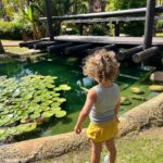 Mariam Hernández Instagram - Hay lugares a los que siempre vuelves y donde cada año es aún mejor que el anterior. Gracias por tratarnos tan tan bien @royalhideawaysanctipetri Ha sido maravilloso!! Gracias también a @oasissurfschool por la maravilla de clases, a @nuteco.nutricion porque quiero llevaros a casa y que me cocinéis cada día 😂😂, las deliciosas comidas de @chezlumierebyjuanlu y #Atunante y a ti @ignacmart por hacerme sentir siempre en casa (y por esas pedazo de “paredes” que cogimos estos días 😜😂). #royalhideawaysanctipetri #novasanctipetri #labarrosa #holidays