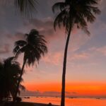 Mariam Hernández Instagram - Ayer hablaba con mi amiga @crisbarry y recordaba aquel mes que vivimos en Rote Island… Recuerdo el silencio, la tranquilidad, las olas y el tiempo, había tiempo para ver los mejores atardeceres del mundo cada día, para hablar, para pasear… cuando no hay tiendas, ni nos crean necesidades materiales ridículas continuamente, el tiempo es verdaderamente tuyo. @keongvillas_rote volveremos! ❣️