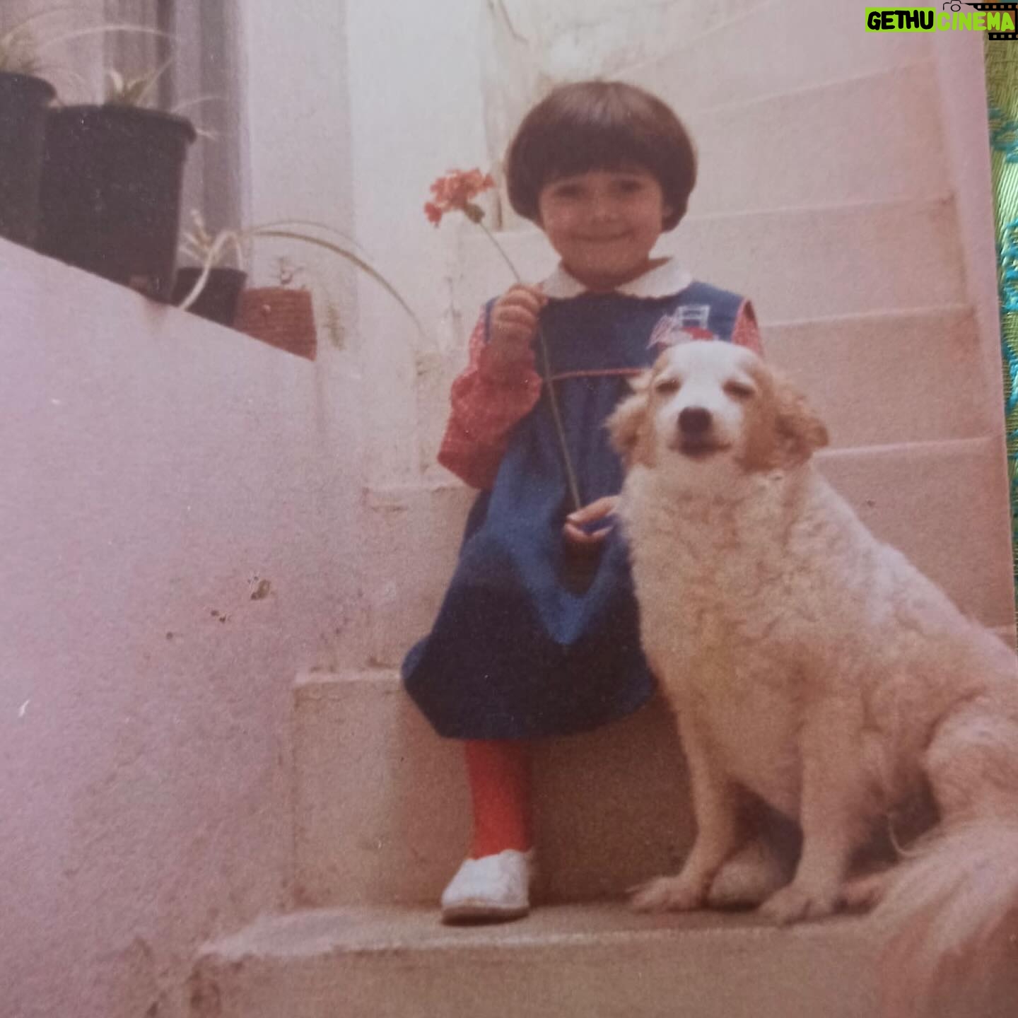 Mariam Hernández Instagram - Hace unos días cumplí 43 años… 43. Lo repito porque siempre me ha costado decir mi edad por aquí. El miedo al paso de los años, a que no me llamen tanto en mi trabajo por ser mayor , a no gustar (a los demás, o mejor dicho, “a ellos” ) … pues sí tengo 43 y aunque da vértigo , en todos los sentidos, me siento bien , probablemente mejor que antes. Me siento más valiente y más serena (y esto último ha sido un trabajo de muchos años). Hoy, mi hija me ha dicho que tenía que ponerse “guapa” porque Cocodrilo tenía que verla fabulosa…. “Tú ya eres fabulosa cariño, le dije! Y ponte lo que quieras sólo si a ti te gusta y tú quieres, ¡¡da igual lo que piense cocodrilo!!”… hay algo social que empieza a aflorar, el gustar, el encajar, la aprobación de los demás… “ . Pensé que ella saldría de eso, que sería más libre, pero está claro que hay que seguir en la lucha. Sigue el viaje… Felices 43 para mí ❣️