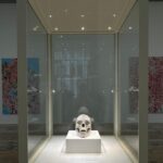 Mariana Avila Instagram – Damien Hirst