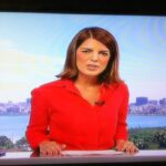 Mariana Gross Instagram - E o Facebook me lembra que há, exatos, 12 anos apresentei, pela primeira vez, um telejornal. Foi um RJ1 de sábado. O entrevistado no estúdio era Jorge Fernando. Minha voz é a mesma mas, meus cabelos… 🤣