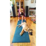 Mariana Loyola Instagram – Practicar yoga con un perro y una gata 😂😂😂
La foto del final lo resume todo.
Feliz Navidaccccc humanxs.
Abrazo cariñoso y contenedor para cada unx.
Ojalá les regale una sonrisa ♥💫