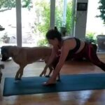 Mariana Loyola Instagram – Practicar yoga con un perro y una gata 😂😂😂

La foto del final lo resume todo. 

Feliz Navidaccccc humanxs.
Abrazo cariñoso y contenedor para cada unx. 

Ojalá les regale una sonrisa ♥💫