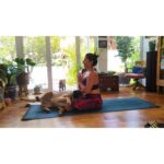 Mariana Loyola Instagram – Practicar yoga con un perro y una gata 😂😂😂

La foto del final lo resume todo. 

Feliz Navidaccccc humanxs.
Abrazo cariñoso y contenedor para cada unx. 

Ojalá les regale una sonrisa ♥💫