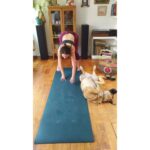 Mariana Loyola Instagram - Practicar yoga con un perro y una gata 😂😂😂 La foto del final lo resume todo. Feliz Navidaccccc humanxs. Abrazo cariñoso y contenedor para cada unx. Ojalá les regale una sonrisa ♥💫