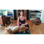 Mariana Loyola Instagram - Practicar yoga con un perro y una gata 😂😂😂 La foto del final lo resume todo. Feliz Navidaccccc humanxs. Abrazo cariñoso y contenedor para cada unx. Ojalá les regale una sonrisa ♥💫