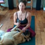Mariana Loyola Instagram - Practicar yoga con un perro y una gata 😂😂😂 La foto del final lo resume todo. Feliz Navidaccccc humanxs. Abrazo cariñoso y contenedor para cada unx. Ojalá les regale una sonrisa ♥💫