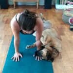 Mariana Loyola Instagram - Practicar yoga con un perro y una gata 😂😂😂 La foto del final lo resume todo. Feliz Navidaccccc humanxs. Abrazo cariñoso y contenedor para cada unx. Ojalá les regale una sonrisa ♥💫