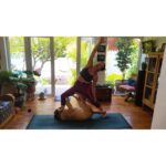 Mariana Loyola Instagram - Practicar yoga con un perro y una gata 😂😂😂 La foto del final lo resume todo. Feliz Navidaccccc humanxs. Abrazo cariñoso y contenedor para cada unx. Ojalá les regale una sonrisa ♥💫
