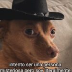 Mariana Molina Instagram - mas é tanto amor por essas pessoas! 🫶