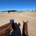 Marianly Tejada Instagram - cowboy camp has officially started 🤠 and what a camp ❤️ @netflix @itsaprilblair @amandamarsalis @davidrapaport thank youu 🥹🙏🏽