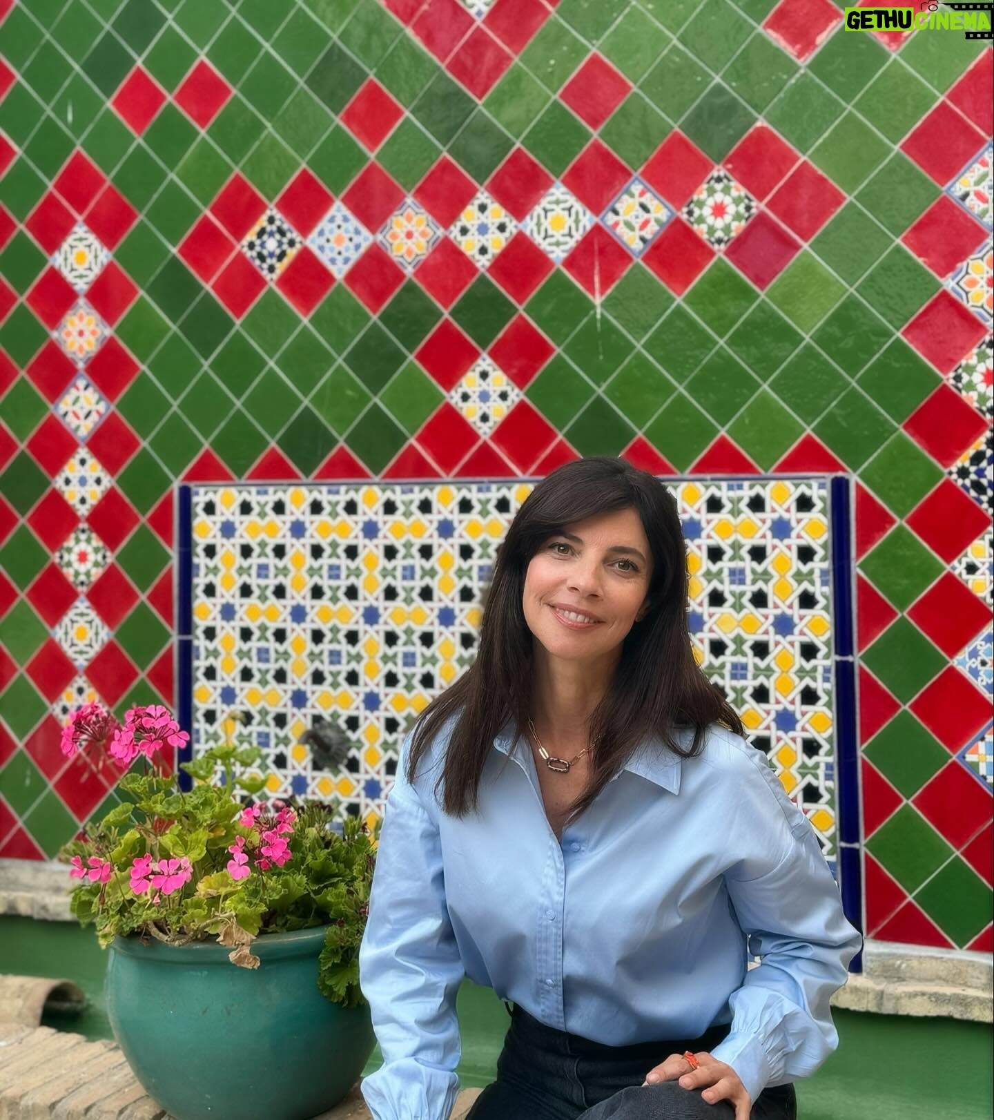 Maribel Verdú - 3 Likes - 9 meses sin fumar.
Flores en mi camino de cada día.
Rita y El gallo #elgallodemoron
Aquí seguimos.
#morondelafrontera
#cuandonadienosve
#azul 👕@guess