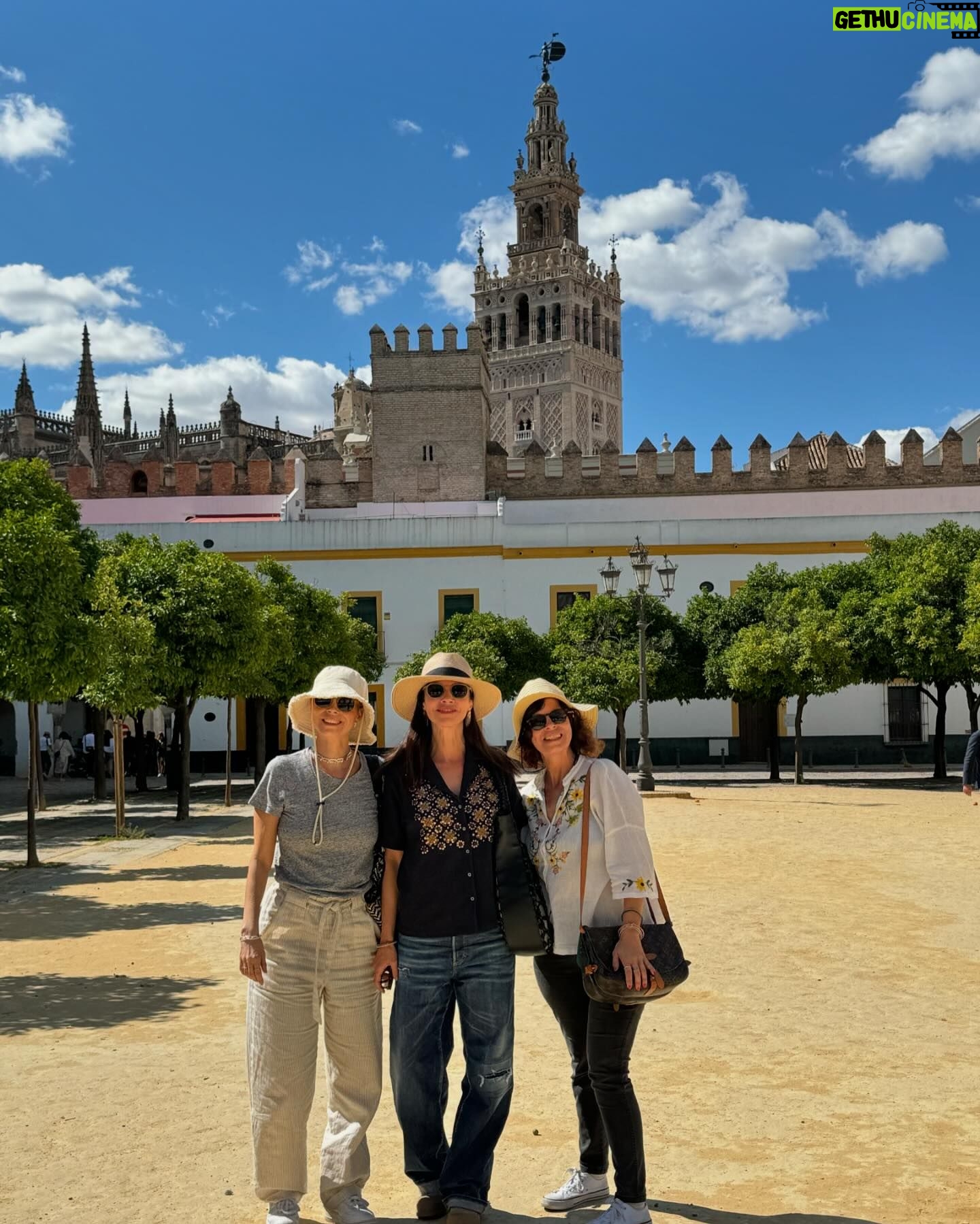 Maribel Verdú - 3 Likes - #sevilla de mis amores
Amores míos en Sevilla