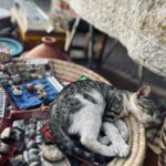 Marie-Lyne Joncas Instagram – Jour 1: Casablanca