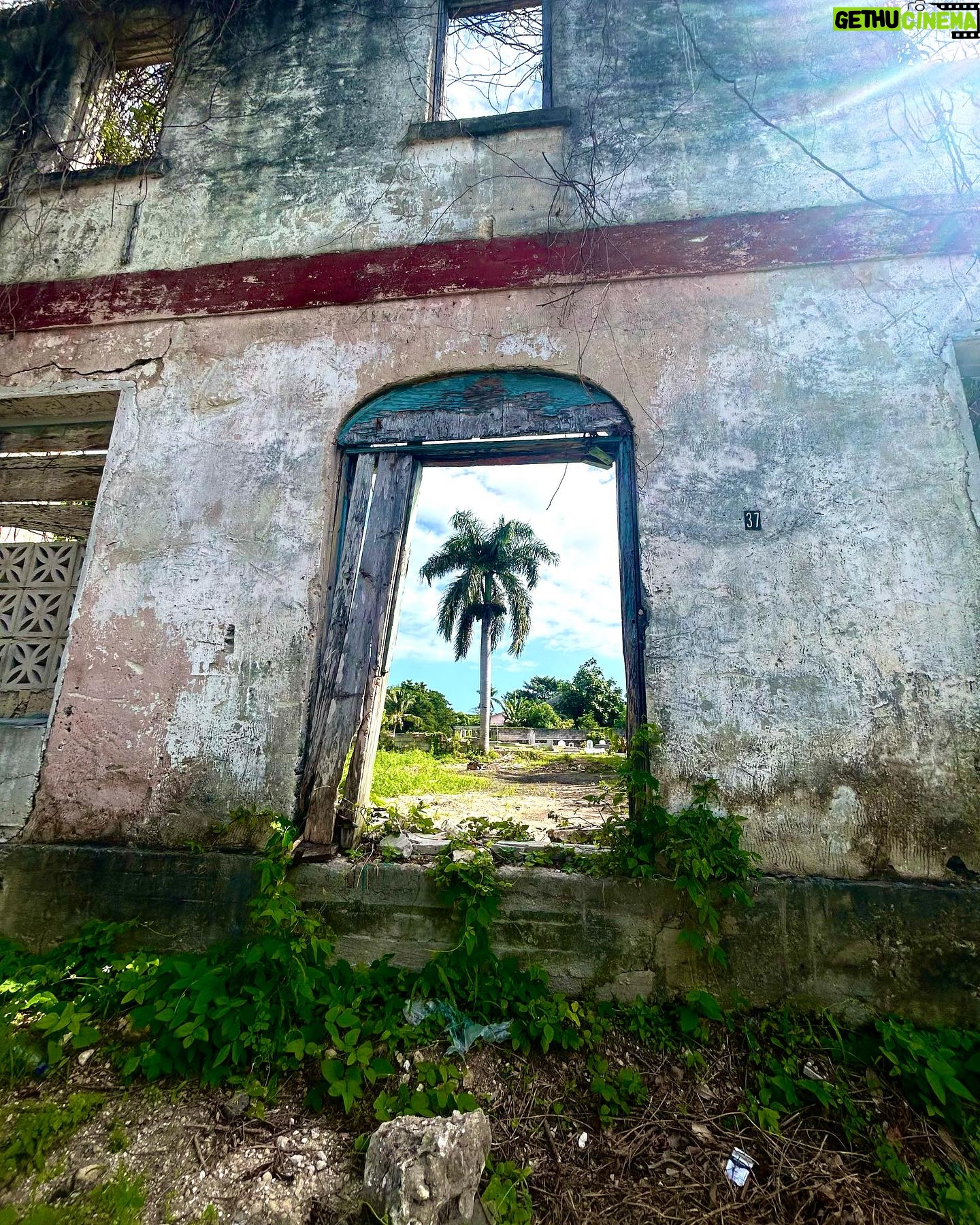 Marie-Lyne Joncas Instagram - Marcher seule à Nassau et prendre quelques clichés! Voir du beau dans tout!