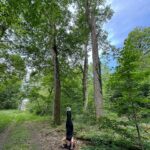 Marie Legault Instagram - Un week-end nature dans un cadre exceptionnel 🌳 #chevauxpassion #nature #yoga #sourire #bienetre #bonheur#campagnefrancaise #beaupaysage #girolles #champignonsauvage #cueillette #chienheureux #weekenddereve #cielmagnifique #fleurs #roses #arbrescentenaires #belleforêt #randonnée #gratitude