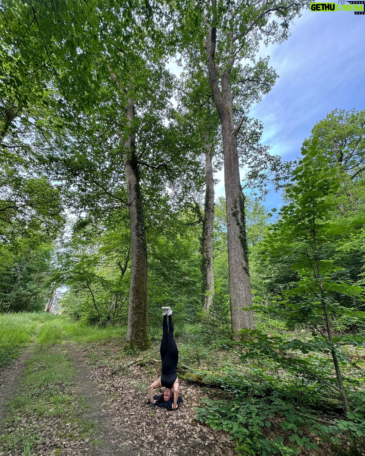 Marie Legault Instagram - Un week-end nature dans un cadre exceptionnel 🌳 #chevauxpassion #nature #yoga #sourire #bienetre #bonheur#campagnefrancaise #beaupaysage #girolles #champignonsauvage #cueillette #chienheureux #weekenddereve #cielmagnifique #fleurs #roses #arbrescentenaires #belleforêt #randonnée #gratitude