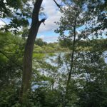 Marie Legault Instagram - Un week-end nature dans un cadre exceptionnel 🌳 #chevauxpassion #nature #yoga #sourire #bienetre #bonheur#campagnefrancaise #beaupaysage #girolles #champignonsauvage #cueillette #chienheureux #weekenddereve #cielmagnifique #fleurs #roses #arbrescentenaires #belleforêt #randonnée #gratitude