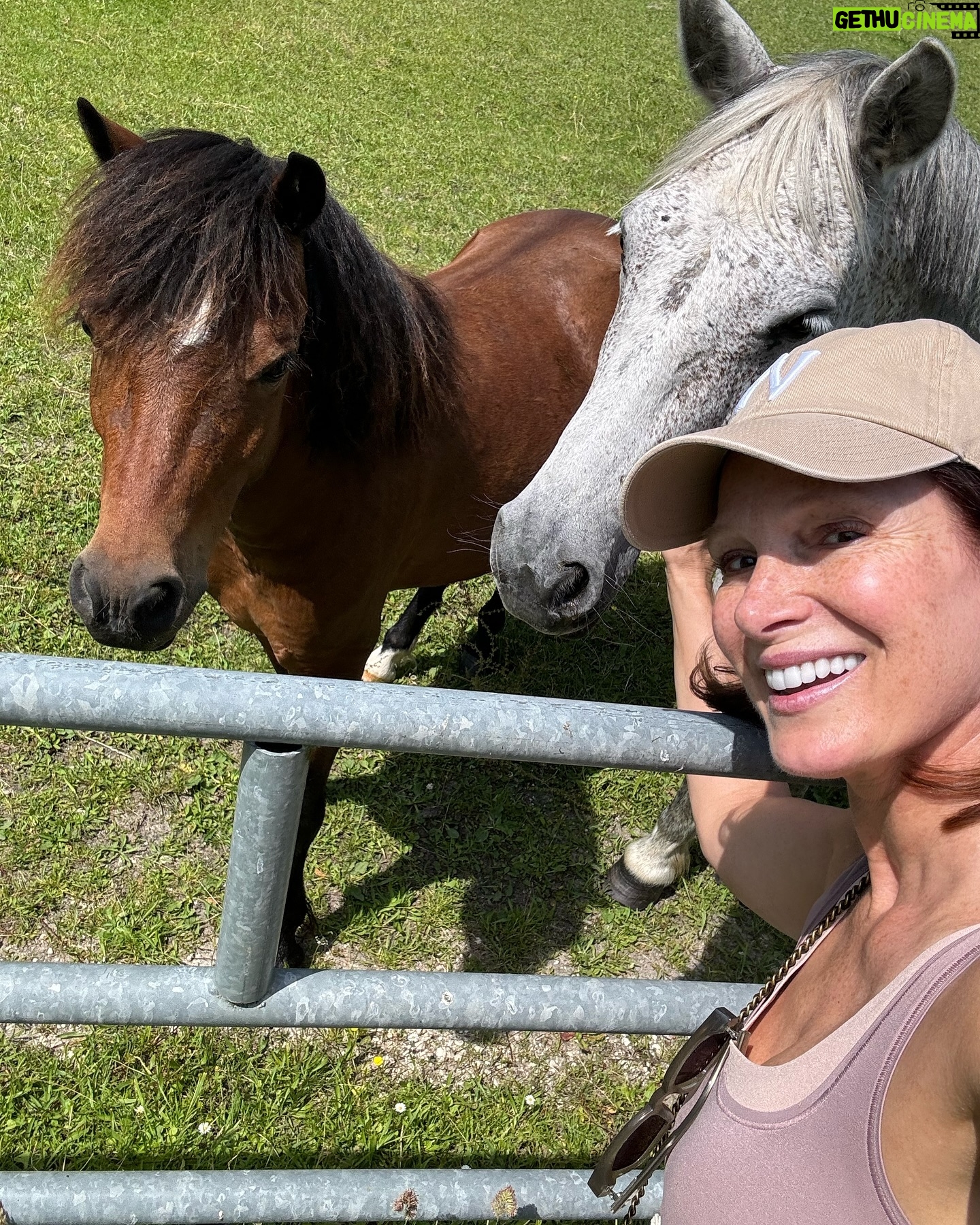 Marie Legault Instagram - Un week-end nature dans un cadre exceptionnel 🌳 #chevauxpassion #nature #yoga #sourire #bienetre #bonheur#campagnefrancaise #beaupaysage #girolles #champignonsauvage #cueillette #chienheureux #weekenddereve #cielmagnifique #fleurs #roses #arbrescentenaires #belleforêt #randonnée #gratitude