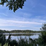Marie Legault Instagram - Un week-end nature dans un cadre exceptionnel 🌳 #chevauxpassion #nature #yoga #sourire #bienetre #bonheur#campagnefrancaise #beaupaysage #girolles #champignonsauvage #cueillette #chienheureux #weekenddereve #cielmagnifique #fleurs #roses #arbrescentenaires #belleforêt #randonnée #gratitude