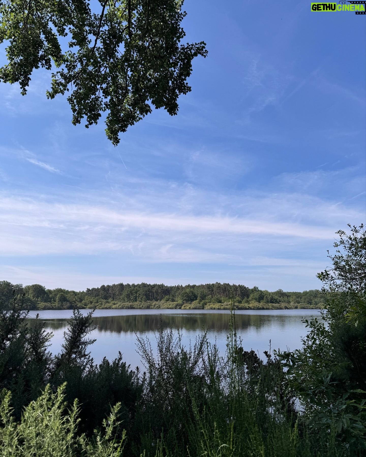Marie Legault Instagram - Un week-end nature dans un cadre exceptionnel 🌳 #chevauxpassion #nature #yoga #sourire #bienetre #bonheur#campagnefrancaise #beaupaysage #girolles #champignonsauvage #cueillette #chienheureux #weekenddereve #cielmagnifique #fleurs #roses #arbrescentenaires #belleforêt #randonnée #gratitude