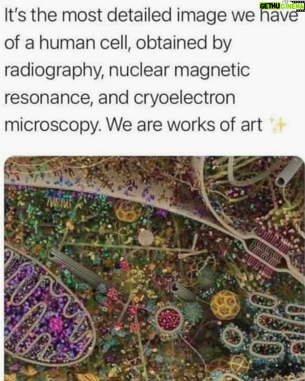 Marie Osmond Instagram - The more I learn about this world we live in, the more I am in awe about just how amazing God is and I seeing things like this, it’s undeniable there IS a God!!! We truly are blessed to be His children!🥰💕 #simplevegan Sunday