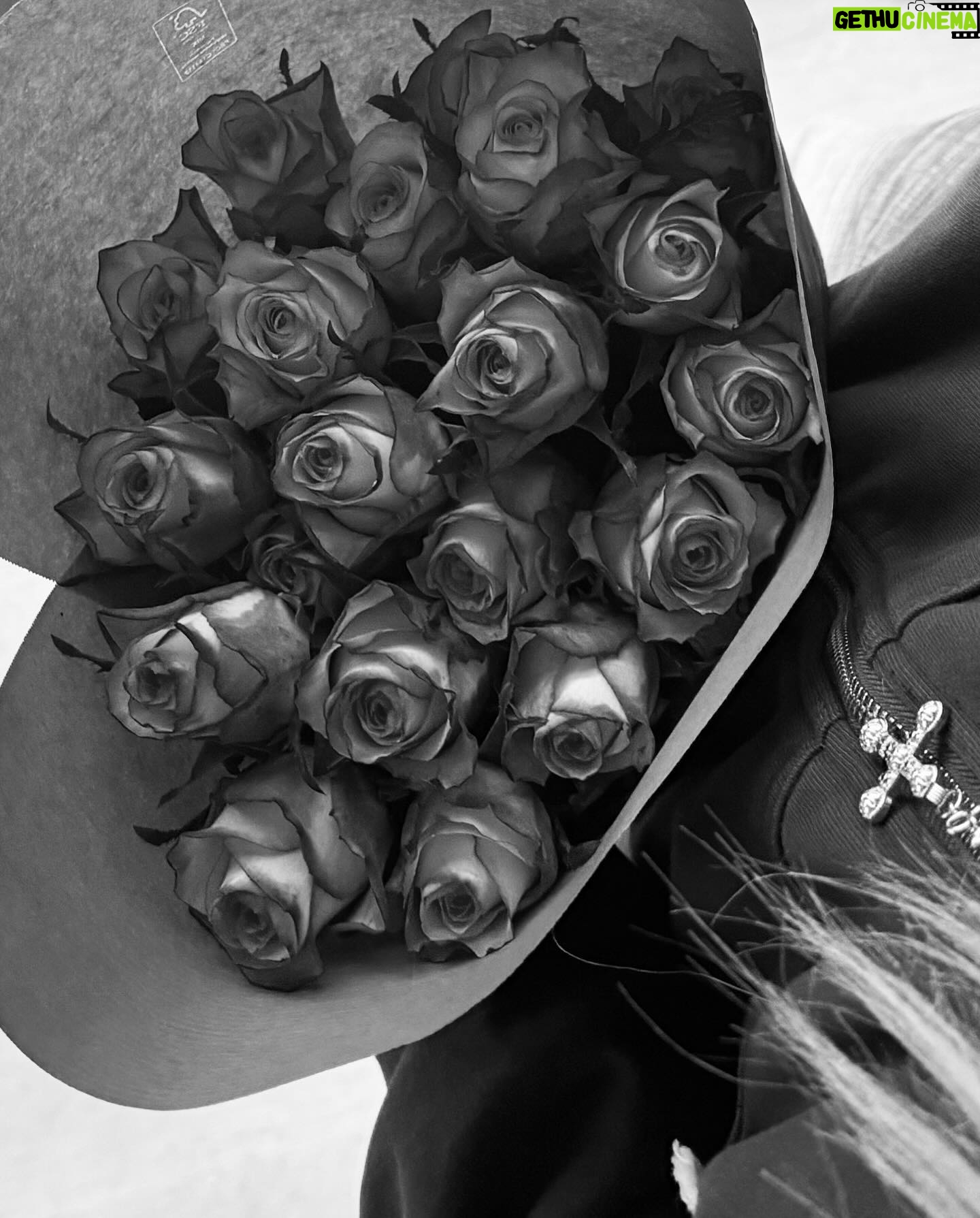 Marije Zuurveld Instagram - Little life 🌹🐾