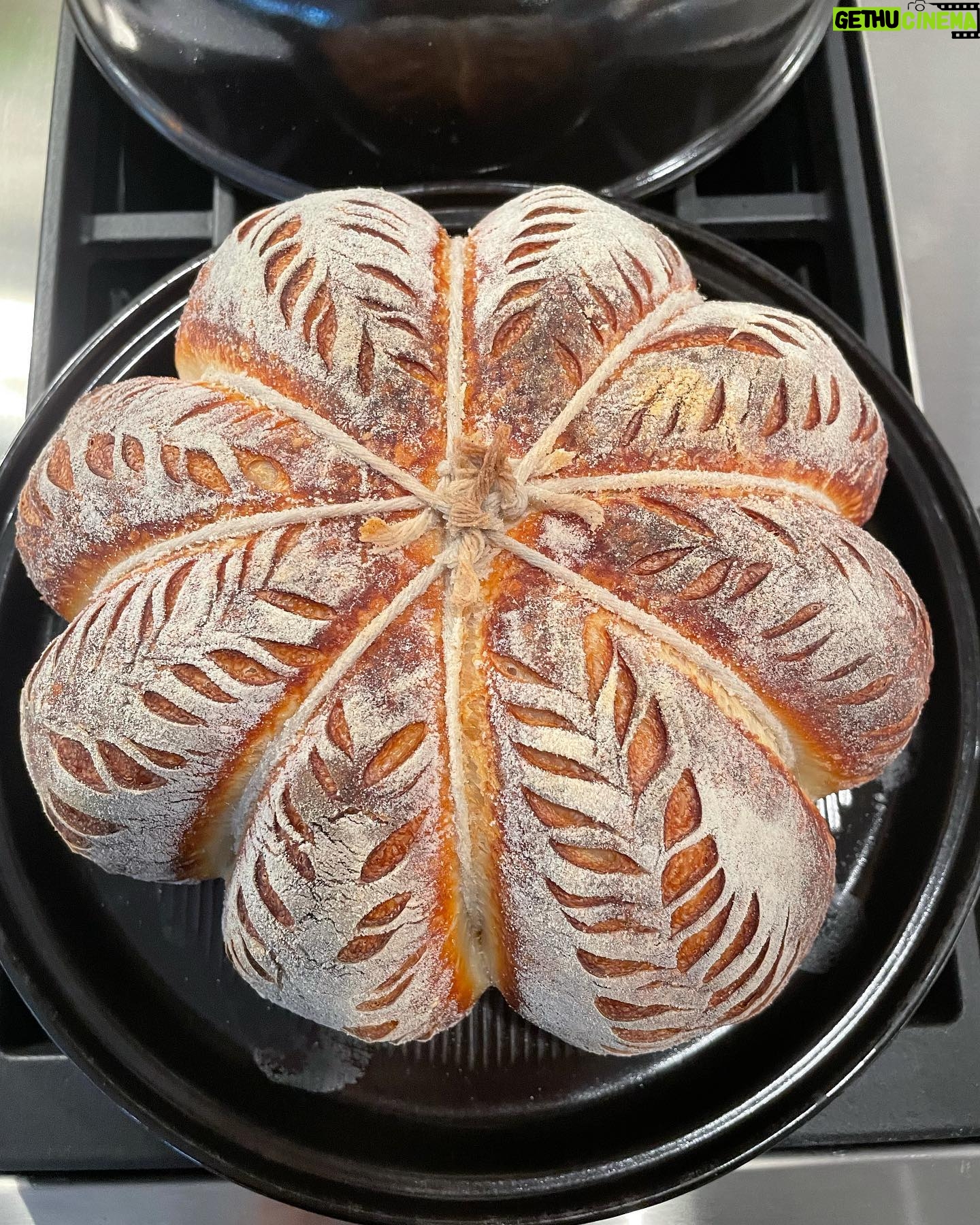 Marika Domińczyk - 4.5K Likes - #thanksgiving is just around the corner so I’m working on my #breadmaking. This is a #sourdogh shaped like a 🎃 … up next , working on my #sourdoughturkey 🤣💕 #realbread #homebaker #breadbaking #sourdoughbread ♥️
