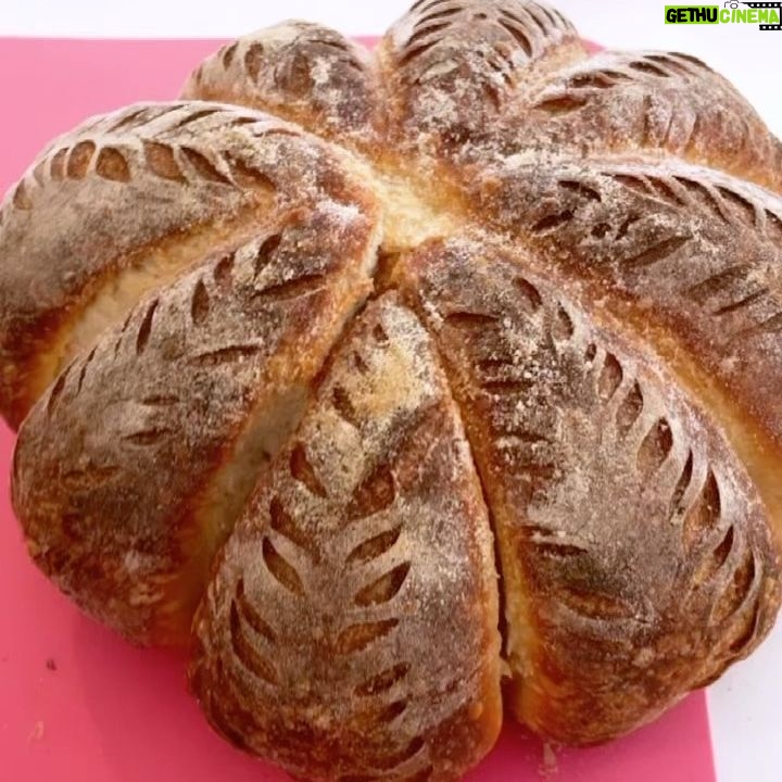 Marika Domińczyk - 4.5K Likes - #thanksgiving is just around the corner so I’m working on my #breadmaking. This is a #sourdogh shaped like a 🎃 … up next , working on my #sourdoughturkey 🤣💕 #realbread #homebaker #breadbaking #sourdoughbread ♥️
