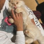 Marika Ito Instagram - NHPにて2023-24カレンダーをプロジェクトに更新しました🐈🐓