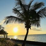 Mariloup Wolfe Instagram – Un peu de soleil aujourd’hui!!! 🌴☀️ À la vôtre! 🍹
