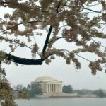Mariloup Wolfe Instagram – Aujourd’hui sous la pluie, j’ai découvert la magnifique ville de Washington où les cerisiers étaient tous en fleur! 🌸 Vive le printemps! Ce qui m’a aussi marqué c’est le nombre et la beauté des bâtiments historiques. En plus que tous leurs musées sont sur la même rue et sont gratuits!!!!! C’est-tu pas merveilleux!!! Toute cette journée de découverte dans le but de venir présenter mon film Cœur de Slush invitée par le Bureau du Québec à Washington dans le cadre du mois de la francophonie! Merci pour cette belle invitation!!! 💙