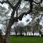 Mariloup Wolfe Instagram – Aujourd’hui sous la pluie, j’ai découvert la magnifique ville de Washington où les cerisiers étaient tous en fleur! 🌸 Vive le printemps! Ce qui m’a aussi marqué c’est le nombre et la beauté des bâtiments historiques. En plus que tous leurs musées sont sur la même rue et sont gratuits!!!!! C’est-tu pas merveilleux!!! Toute cette journée de découverte dans le but de venir présenter mon film Cœur de Slush invitée par le Bureau du Québec à Washington dans le cadre du mois de la francophonie! Merci pour cette belle invitation!!! 💙
