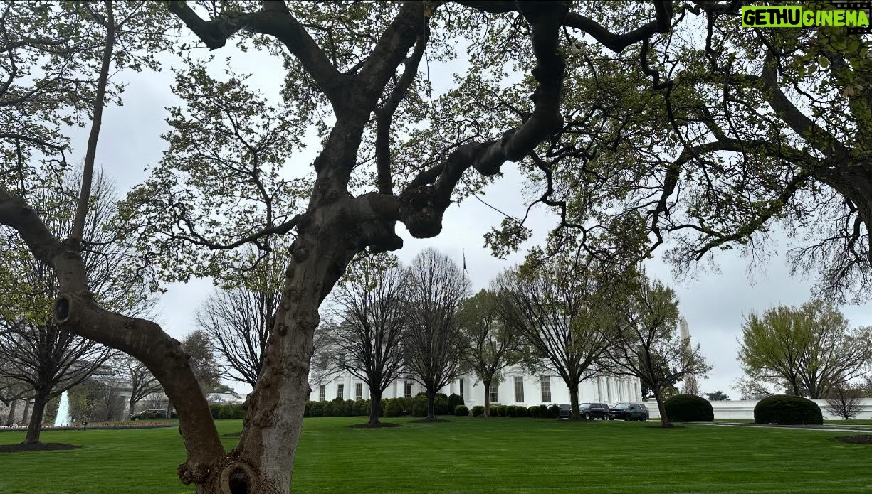 Mariloup Wolfe Instagram - Aujourd’hui sous la pluie, j’ai découvert la magnifique ville de Washington où les cerisiers étaient tous en fleur! 🌸 Vive le printemps! Ce qui m’a aussi marqué c’est le nombre et la beauté des bâtiments historiques. En plus que tous leurs musées sont sur la même rue et sont gratuits!!!!! C’est-tu pas merveilleux!!! Toute cette journée de découverte dans le but de venir présenter mon film Cœur de Slush invitée par le Bureau du Québec à Washington dans le cadre du mois de la francophonie! Merci pour cette belle invitation!!! 💙