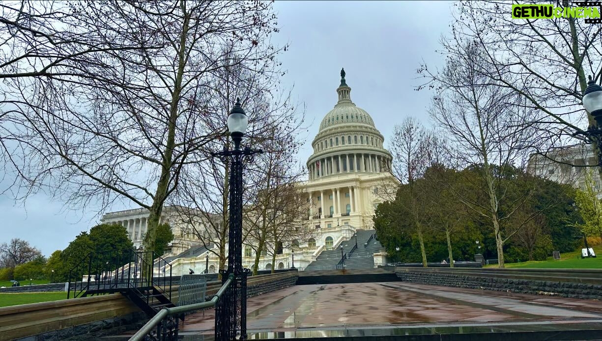 Mariloup Wolfe Instagram - Aujourd’hui sous la pluie, j’ai découvert la magnifique ville de Washington où les cerisiers étaient tous en fleur! 🌸 Vive le printemps! Ce qui m’a aussi marqué c’est le nombre et la beauté des bâtiments historiques. En plus que tous leurs musées sont sur la même rue et sont gratuits!!!!! C’est-tu pas merveilleux!!! Toute cette journée de découverte dans le but de venir présenter mon film Cœur de Slush invitée par le Bureau du Québec à Washington dans le cadre du mois de la francophonie! Merci pour cette belle invitation!!! 💙