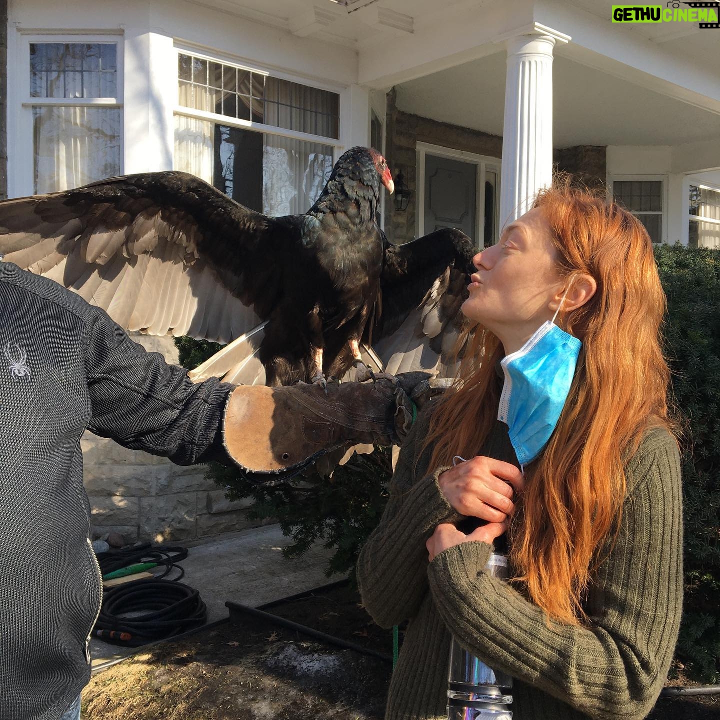 Marin Ireland - 7.4K Likes - My Christmas card this year. For everyone who thought the vulture in episode 3 was maybe CGIā¦he was not. (Also we think itās just mammals that died so Dennis Rodmanāthat is this birdās nameāwould theoretically still be alive). He was a great scene partner and I loved him. #ythelastman