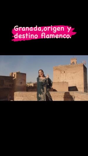 Marina Heredia Instagram - Pedazo de trabajo a realizado @union_flamenca para el área de Turismo de @aytogr  Talento es lo que le sobra a mi Grana.