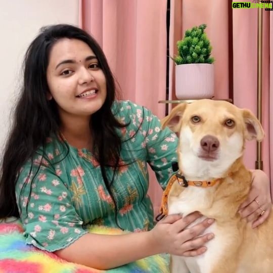 Marina Abraham Instagram - ๐ฌ Check out this inspiring video clip where @marina.a1203 has shared her heartfelt enthusiasm about the joys of adopting Indian dogs ๐ฎ๐ณ๐ We're overjoyed to witness your Adoption of an Indie dog, Brownie ๐ค Join us in promoting this cause and think about opening your heart and home to these incredible Indian companions. Whether they're called indie pups or local breeds, these dogs bring diversity, adaptability, and often better health to your family ๐พ. Let's make a difference together! ๐ We invite you to make a difference in the lives of countless furry friends - Our next Adoption Drive! ๐๏ธDate: Jan 26th, 2024 ๐ฅTime: 11am - 5pm ๐Location: Citizens for Animals Shelter, Nallakunta, Hyd. ๐คJoin us for a day filled with love, compassion and the opportunity to give a deserving pet a forever home. ๐ก We look forward to seeing you tomorrow ๐ For inquiries, contact - 9010059917 โ๏ธ #adoptdontshop #adoptiondrive #adopt #rescueddog #puppy #hyderabad #indies #puppylove #dogslife #dogsofinstagram #dogstagram #indiesofinstagram #indiecats #indiedogs #dogs #cats #kittens #lifeofstray #home #share #independenceday #indianbreeds #indiankitten #indiandog #catsofinstagram #catstagram #cutepuppy #instagood #AdoptIndianDogs #CelebSpeaksForPaws