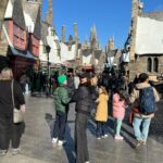 Marina Aleksandrova Instagram - Я-Super Мама! А кто скажет что это не так? Выпила butterbeer ✅ Два часа в очереди. Поняла, что терпения хватает на полтора часа✅ Преодолела боязнь толпы✅ Съела кучу гадости ( даже не знаю что)✅ Победила в квидич, освободила город от преступников с Человеком-Пауком, так и не поняла кто такие миньоны, собрала все монеты с Марио, прокричалась на Американских горках✅ Осознала, что без мужа бы не справилась✅ Мы сделали детей счастливыми💚 А ваши успехи в новом году?) #фотоальбомдлявнуков #universalstudios