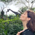 Marina Aleksandrova Instagram - Мой зоопарк! А кто вы 1го января? #singapore #фотоальбомдлявнуков