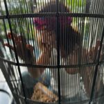 Marina Aleksandrova Instagram - Переключение скоростей настроения 2 секунды… Какой у вас интервал? 🤣