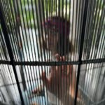 Marina Aleksandrova Instagram - Переключение скоростей настроения 2 секунды… Какой у вас интервал? 🤣